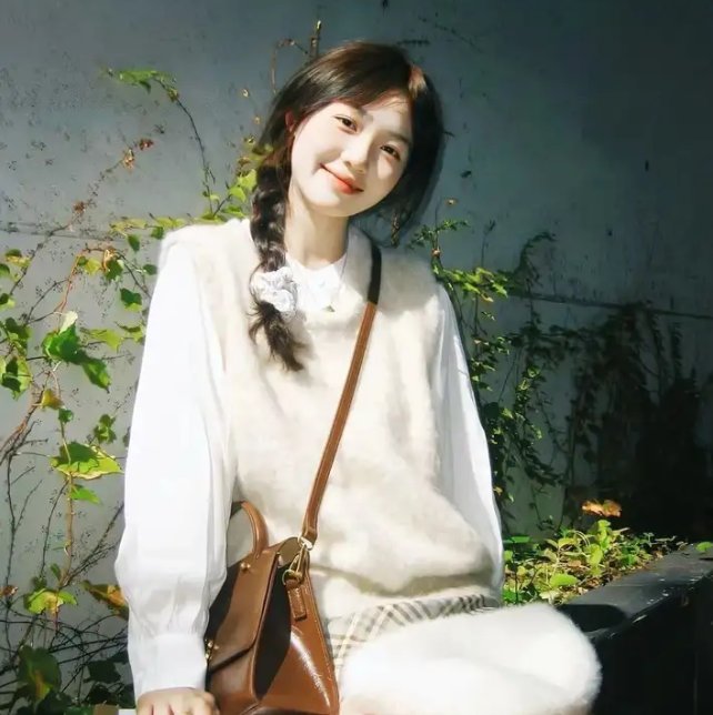 王牌美女特工