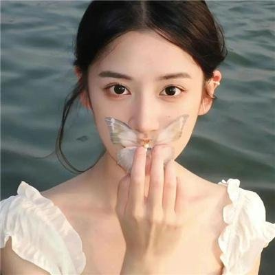 哈莱姆的郁金香